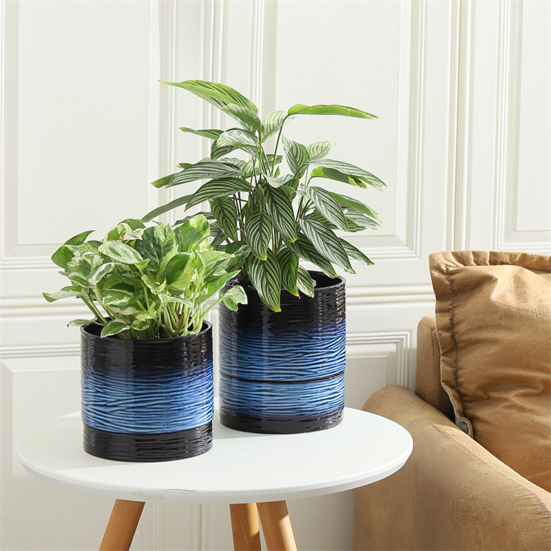 Nihow 6 INCH FLOWER POT SHORT Black & Blue