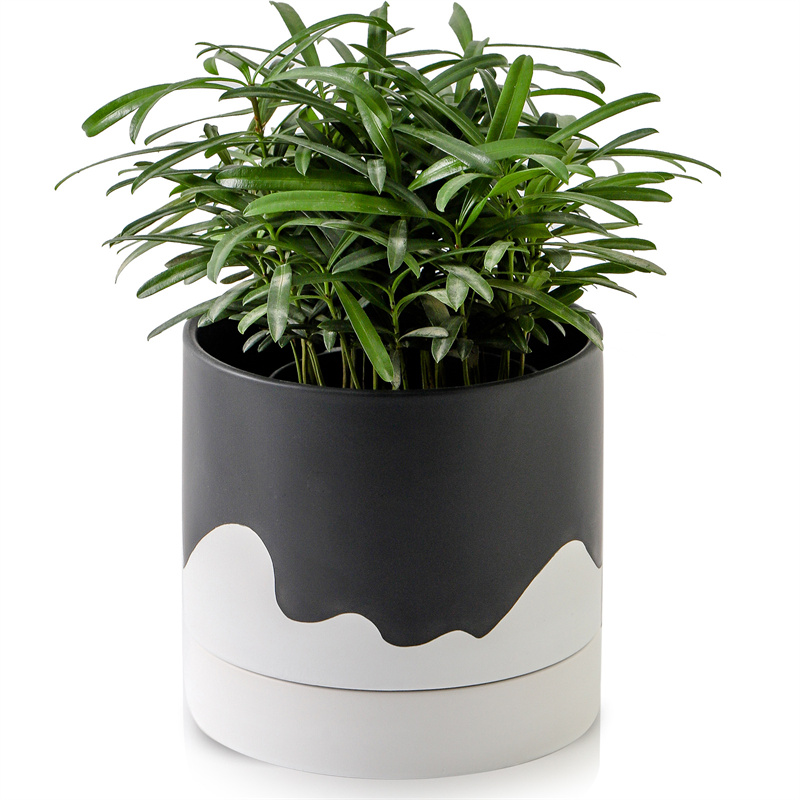 Nihow 6 INCH FLOWER POT SHORT Black & Wave White