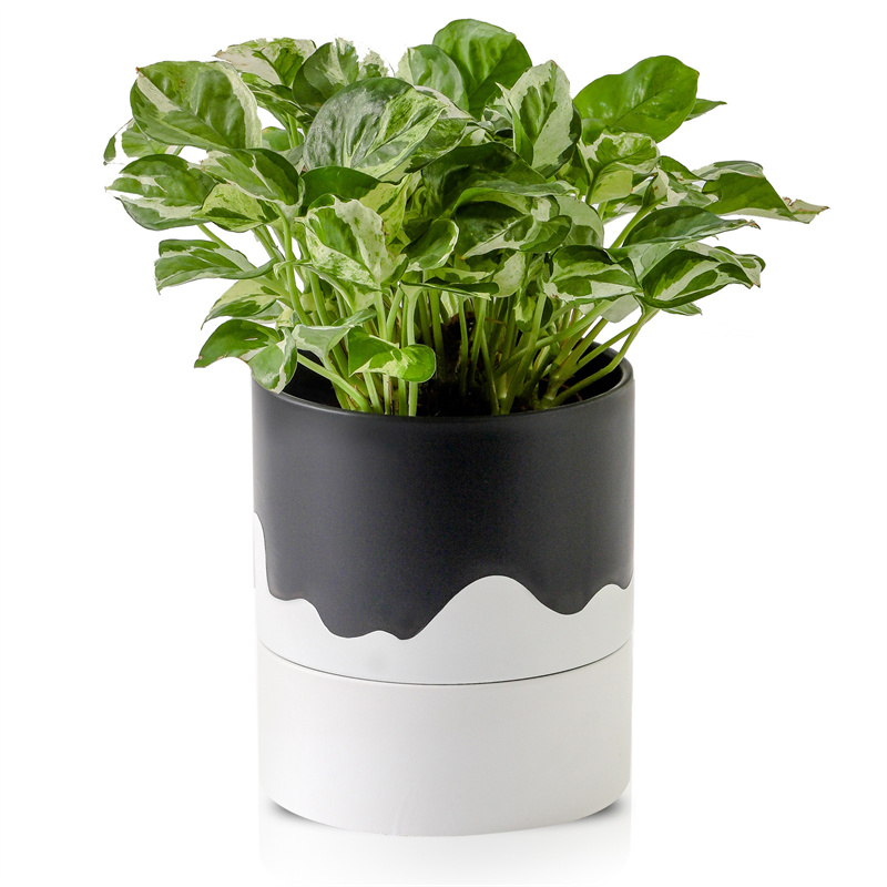 Nihow 6 INCH FLOWER POT TALL Black & Wave White