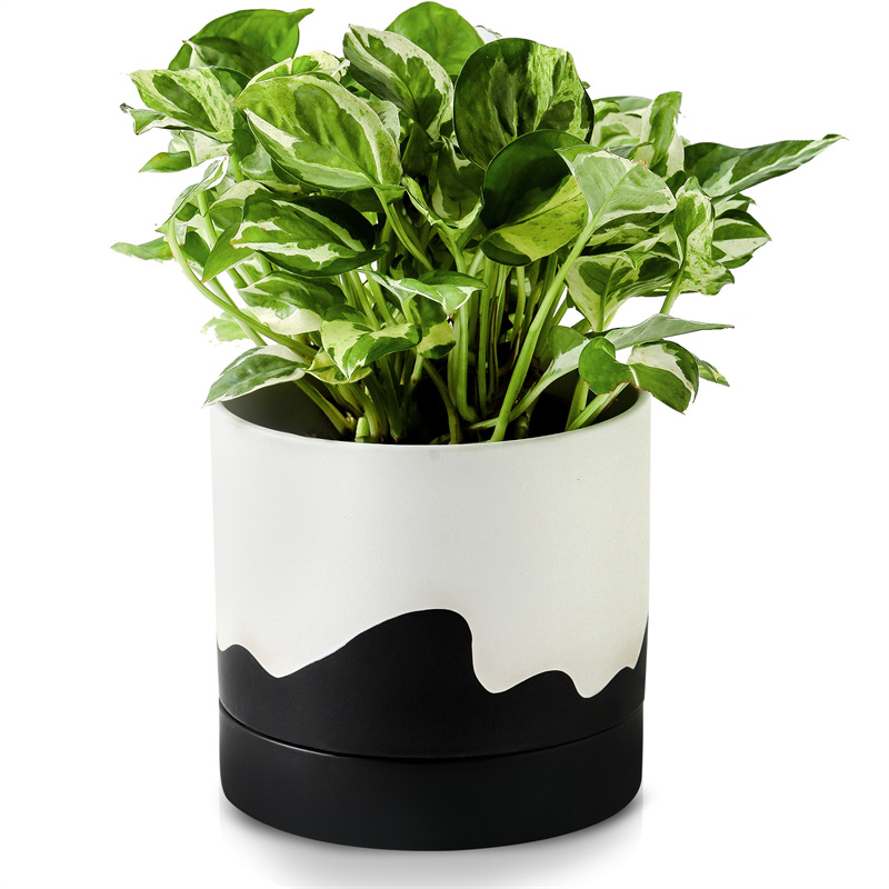 Nihow 6 INCH FLOWER POT SHORT White & Wave Black