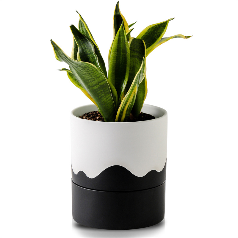 Nihow 6 INCH FLOWER POT TALL White & Wave Black