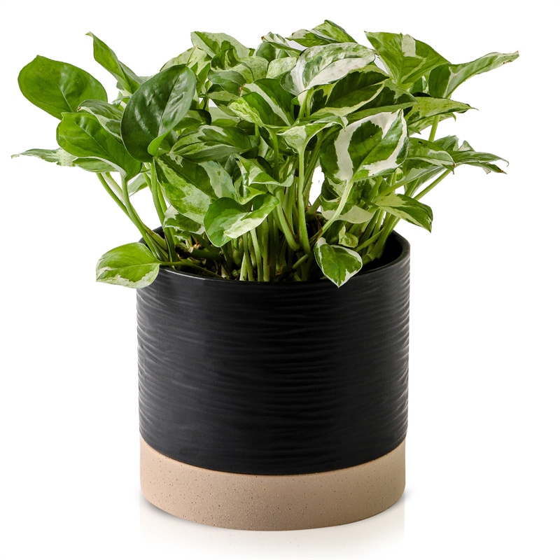 Nihow 6 INCH FLOWER POT SHORT Black & Brown