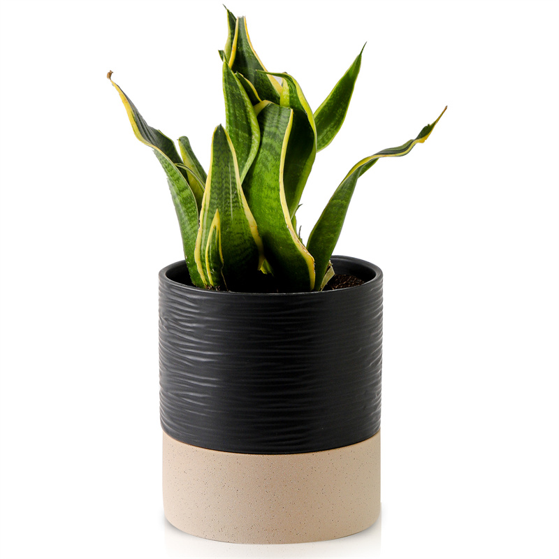 Nihow 6 INCH FLOWER POT TALL Black & Brown