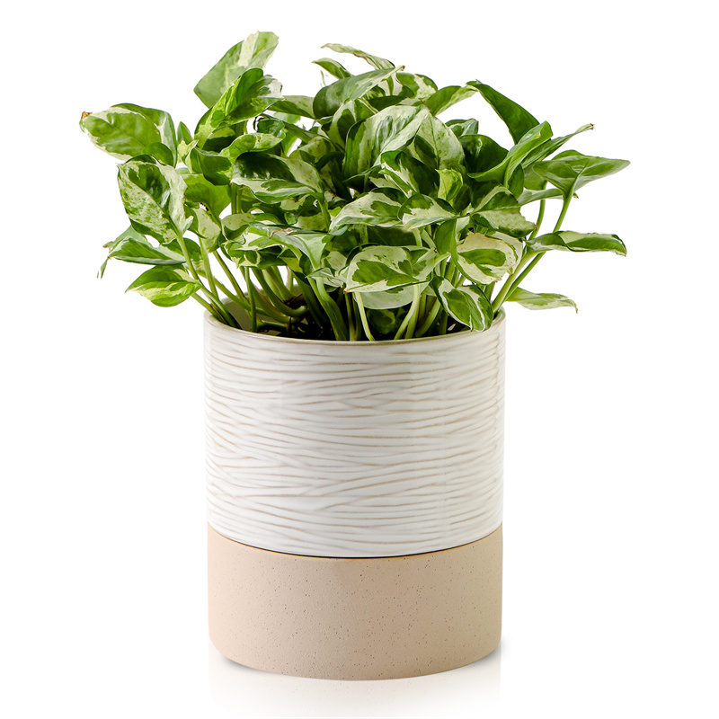 Nihow 6 INCH FLOWER POT TALL Cream White & Brown