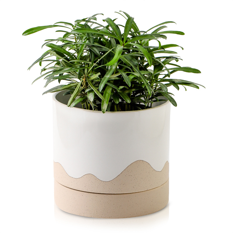 Nihow 6 INCH FLOWER POT SHORT CreamWhite & Wave Brown