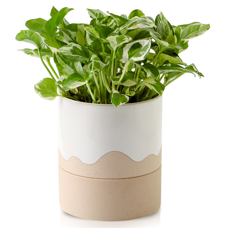 Nihow 6 INCH FLOWER POT TALL White & Nature