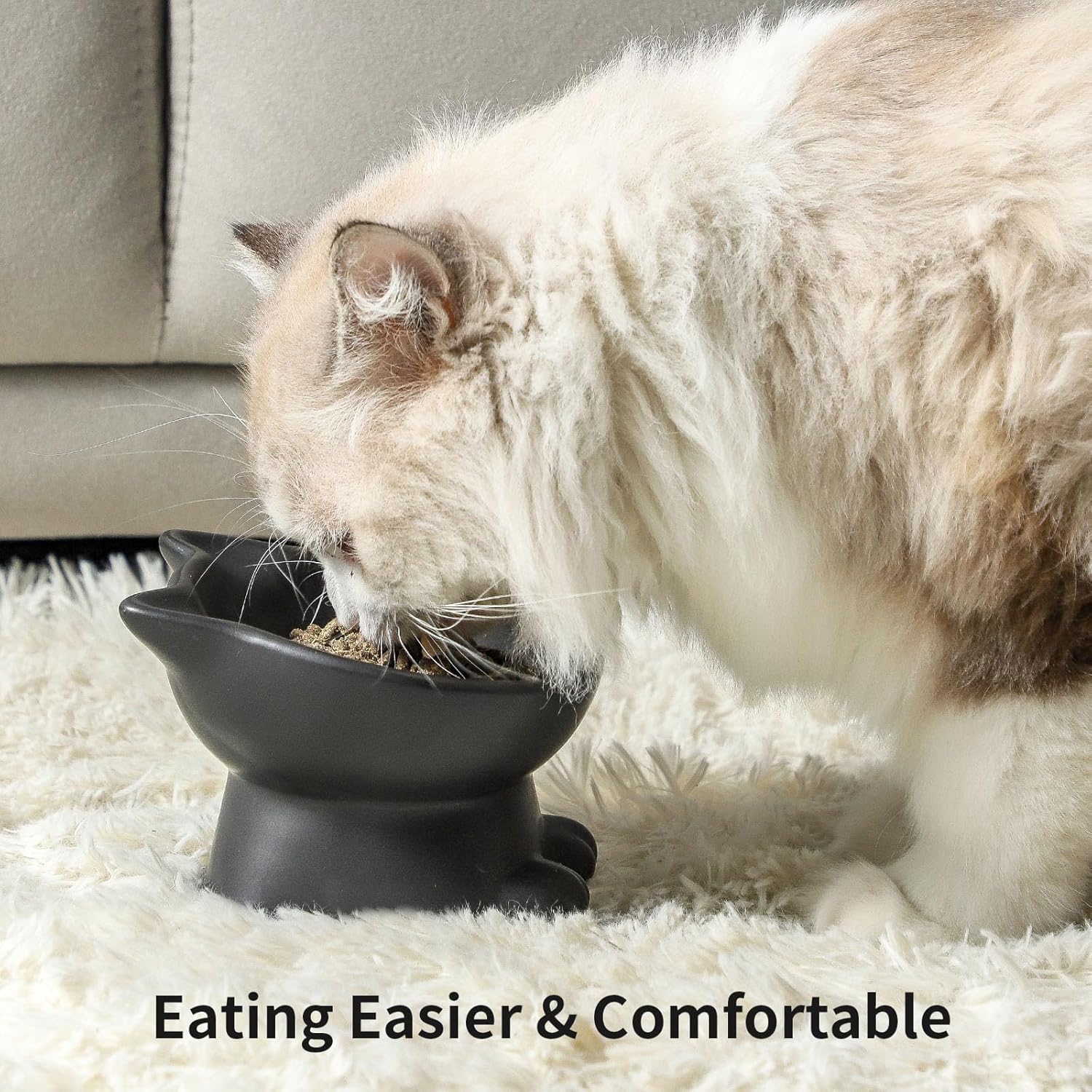 Nihow SET OF 2 SMALL CAT BOWL Matte Black
