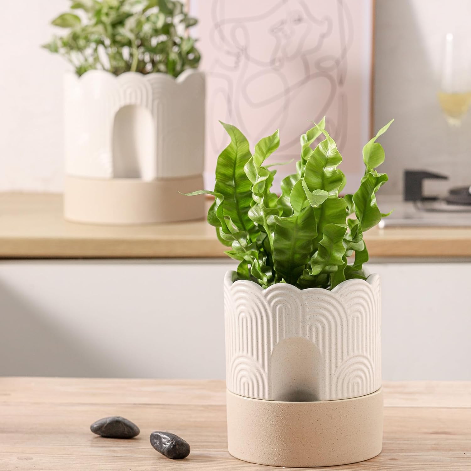 Nihow  6 INCH SELF WATERING FLOWER POT Beige & Nature