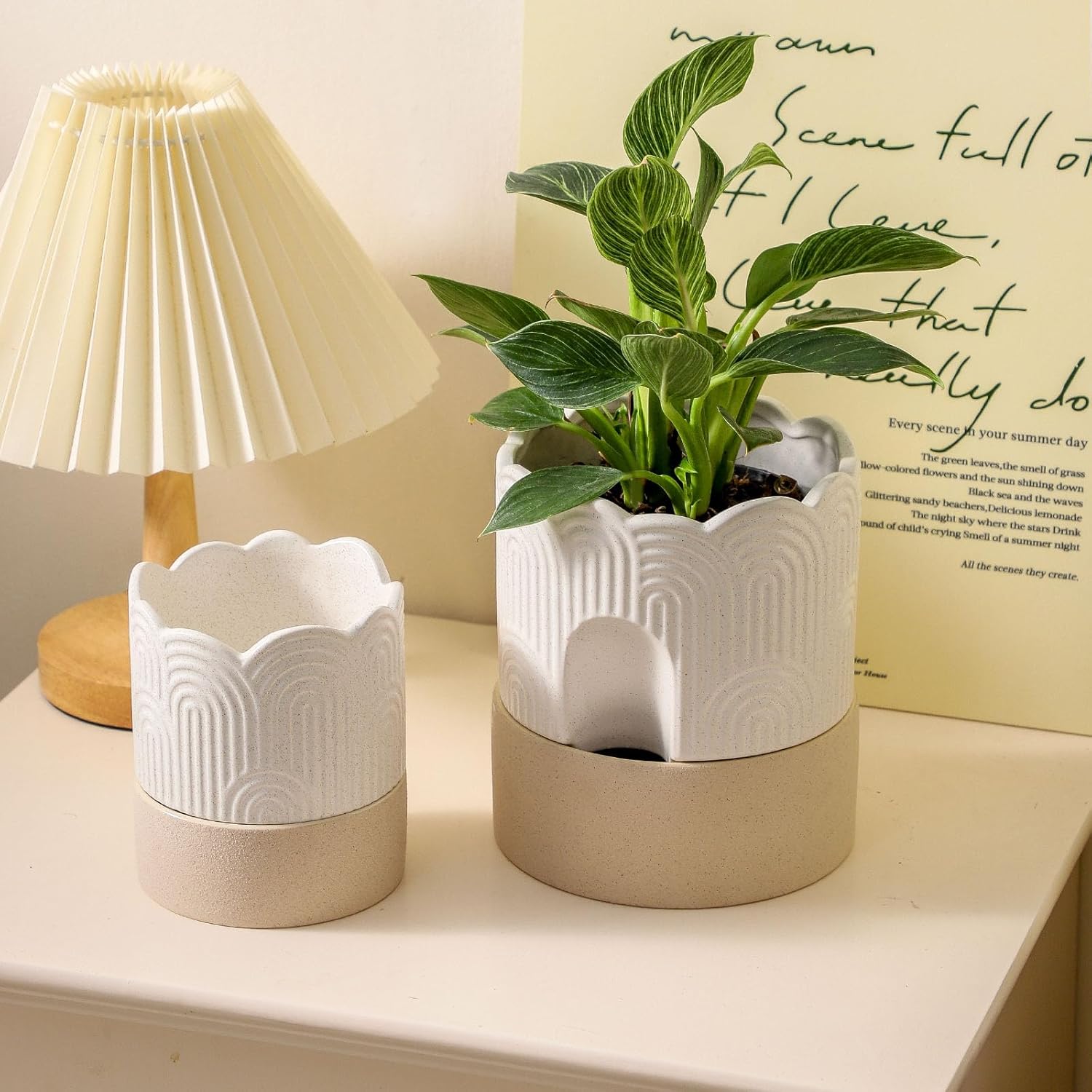 Nihow  4.5+6  INCH SELF WATERING FLOWER POT Beige & Brow