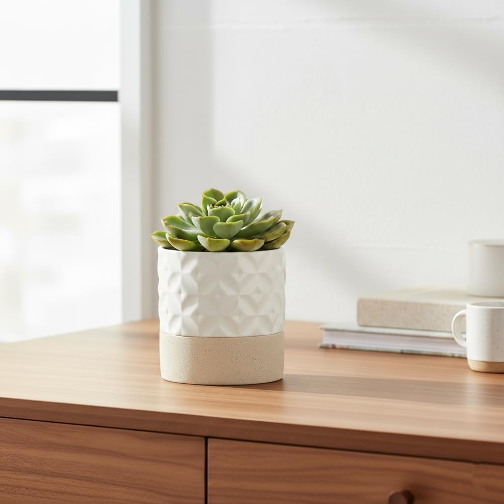 Nihow 4.5 INCH FLOWER POT Matte White & Brown Star