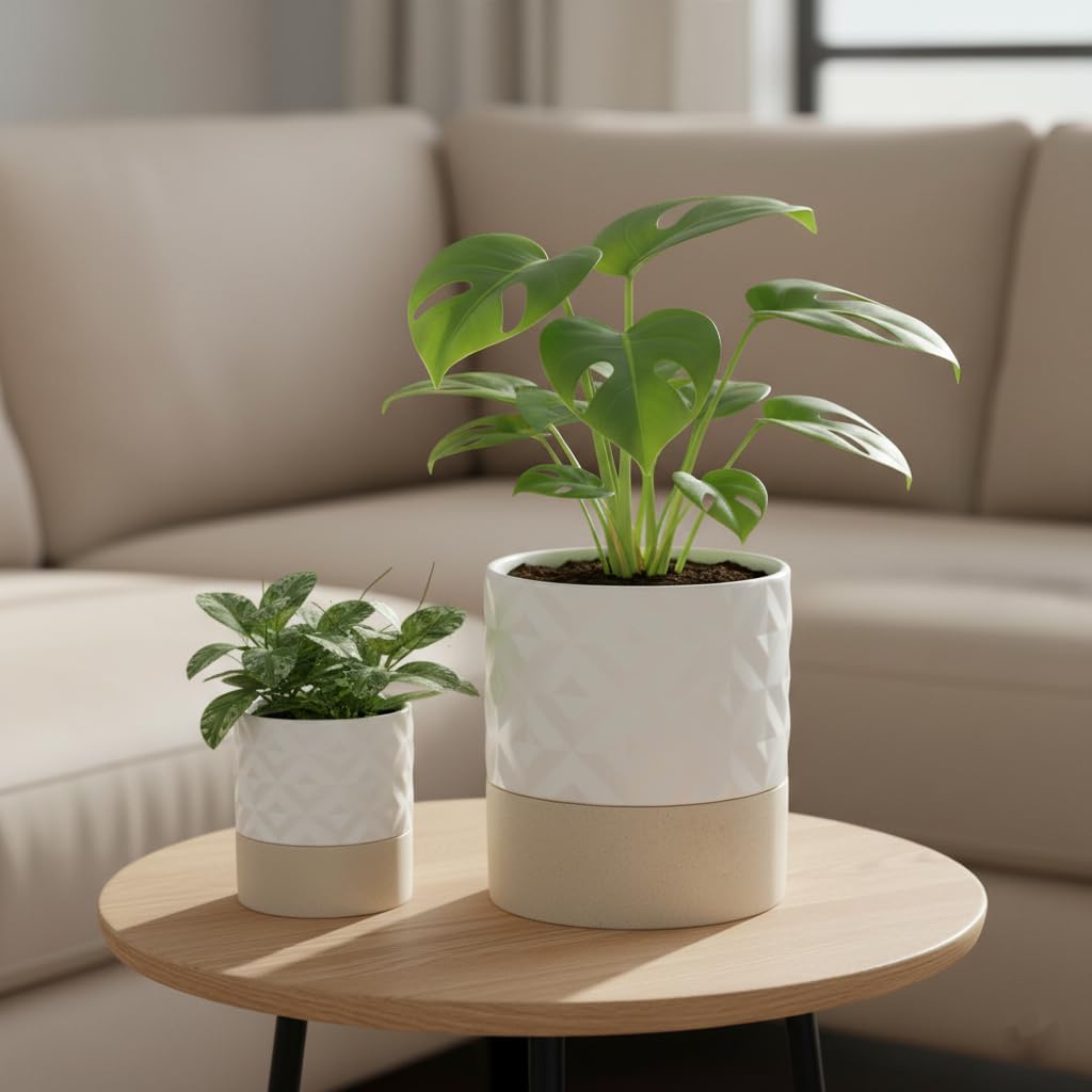 Nihow 4.5+6 INCH FLOWER POT Matte White & Brown Star